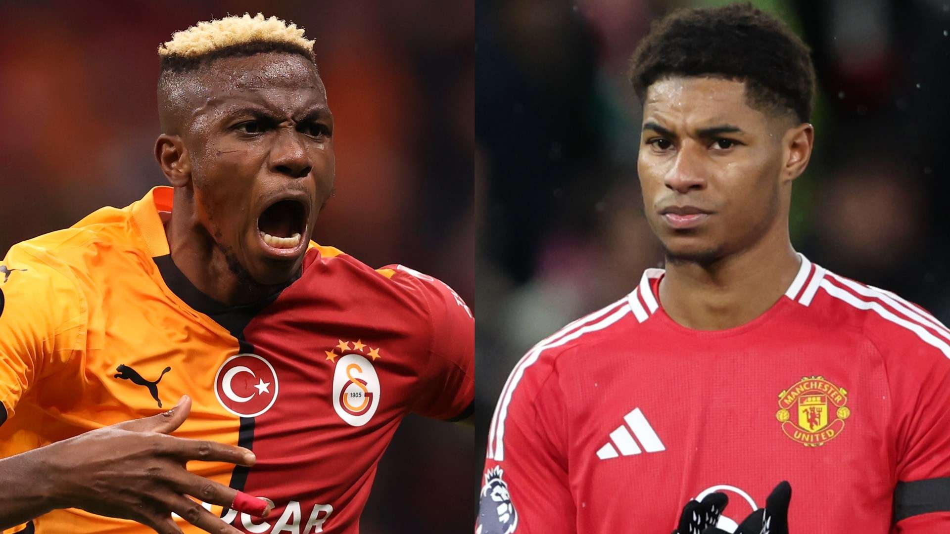 他的到来不 他的到来不